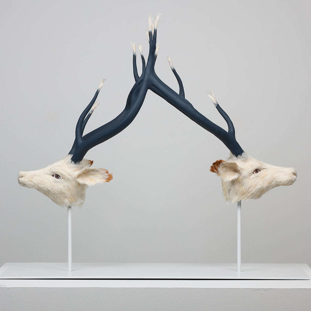 The Figure and Constructed Worlds | November 10th | Sheridan College Trafalgar Campus